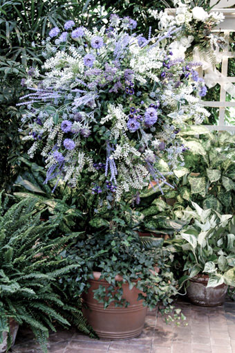 Topiary - The Conservatory Garden Wedding Venue, St. Louis, MO