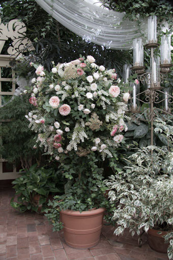 Topiary - The Conservatory Garden Wedding Venue, St. Louis, MO
