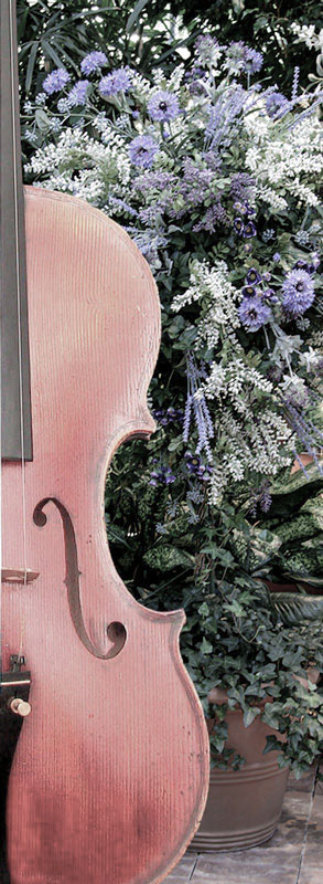 Wedding Music - The Conservatory Garden Wedding Venue, St. Louis, MO